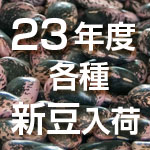 ����ǯ�ٿ�Ʀ����